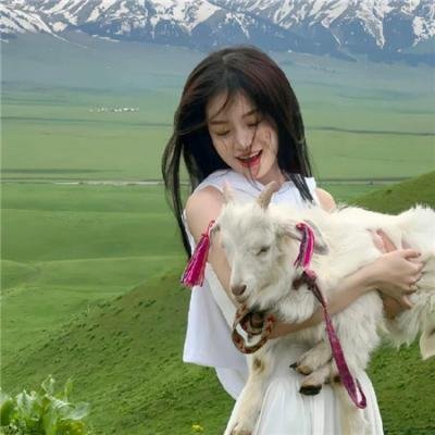 我的老婆是只猫